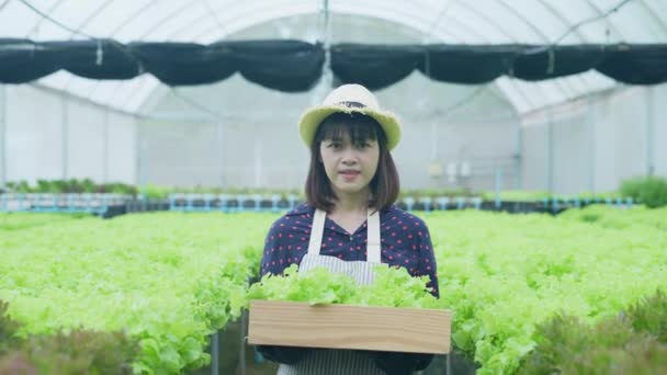 Landbouwconcept Van Resolutie Aziatische Vrouw Draagt Groenten Met Een Glimlach — Stockvideo