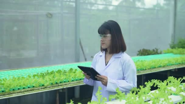 Zemědělský Koncept Rozlišení Výzkumníci Zkoumají Růst Rostlin Sklenících Udržujte Záznam — Stock video