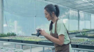 4k Kararlılığın iş konsepti. Bahçede kaktüs fotoğrafı çeken Asyalı kadın. bir dijital kamera kullanarak.