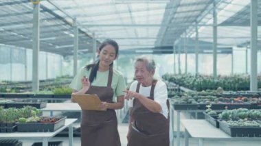4k Kararlılığın iş konsepti. Asyalı yaşlı kadın kaktüsü kontrol ediyor. Aile işbirliği. Büyükanne ve torun bahçede çalışıyorlar..