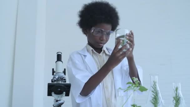 Conceito Educação Resolução Alunos Estão Fazer Experiências Com Plantas Laboratório — Vídeo de Stock