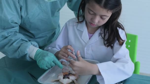 Education Concept Resolution Researchers Dissecting Frogs Lab Teaching Students Physical — Stock Video