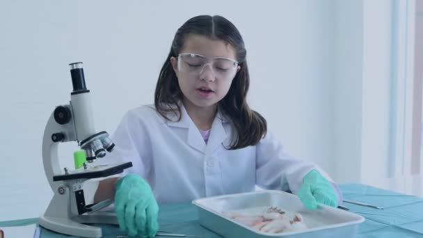 Concepto Educativo Resolución Una Chica Joven Explica Sobre Experimento Laboratorio — Vídeos de Stock