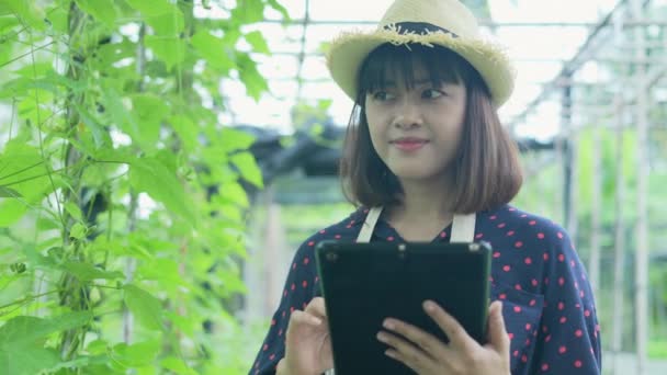 Jordbrukskonceptet Resolution Arbetare Kontrollerar Grönsaksodlingen Trädgården Trädgårdsmästarens Produktivitetsutvärdering — Stockvideo