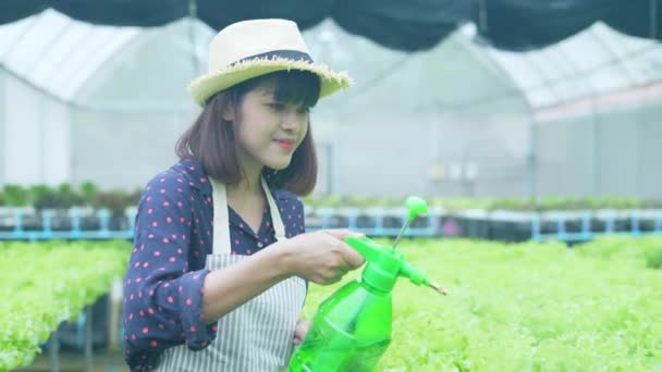 Concepto Agrícola Resolución Mujer Asiática Regando Verduras Invernadero Acelere Crecimiento — Vídeos de Stock