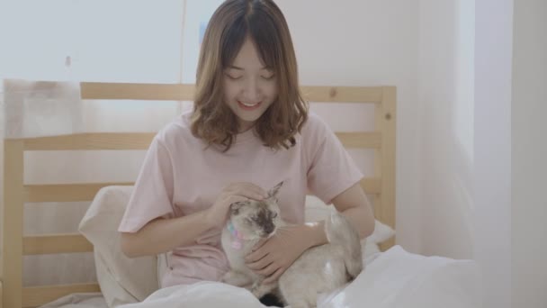 Konsep Holiday Resolusi Wanita Asia Bermain Dengan Kucingnya Dalam Ruangan — Stok Video