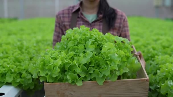4K分解能の農業概念 温室で笑顔で野菜を運ぶアジアの女性 お客様に最高のサービスを提供することを目指しています — ストック動画