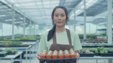 4k Kararlılığın iş konsepti. Asyalı kadınlar dükkanda kaktüs tanıtıyorlar. ağaç türleri.