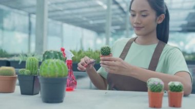 4k Kararlılığın iş konsepti. Bir dükkana kaktüs eken Asyalı kadın. çömlek taşınıyor.