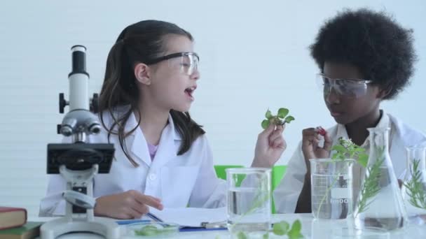 Conceito Educação Resolução Jovens Estudantes Estão Experimentando Com Conhecimento Ciência — Vídeo de Stock