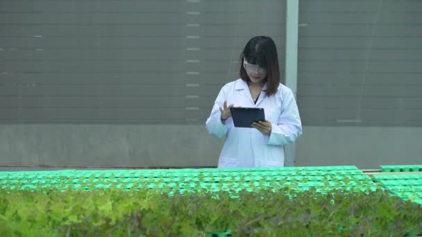 Mezőgazdaság Koncepciója Felbontás Kutatók Növénytermesztést Vizsgálják Üvegházakban Jegyezze Fel Zöldségkísérlet — Stock videók