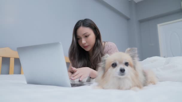 4K解像度の休日の概念 ベッドルームでコンピュータを扱うアジアの女の子 家の中でペットと暮らしています — ストック動画