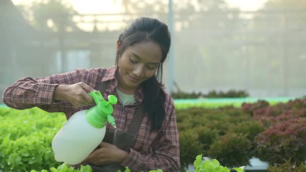 Landbouwconcept Van Resolutie Aziatische Vrouw Die Groenten Water Geeft Een — Stockvideo