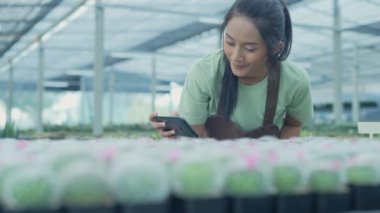 4k Kararlılığın iş konsepti. Bahçede kaktüs fotoğrafı çeken Asyalı kadın. İnternette cep telefonuyla ürün satmak.