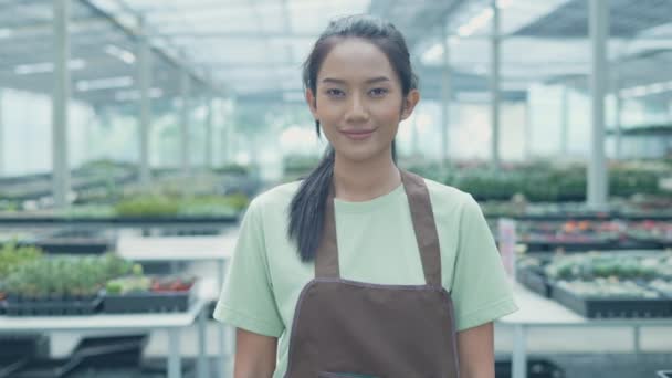 Business Concept Resolution Owner Garden Holds Sign Open Cactus Shop — Stock Video