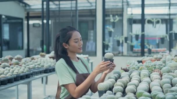 4K解析度的业务概念 亚洲女人在商店里检查仙人掌 产品选择 树木苗圃 — 图库视频影像