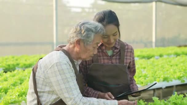 4K分解能の農業概念 温室で野菜をチェックするアジアの女性 庭師の生産性評価 — ストック動画