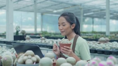 4k Kararlılığın iş konsepti. Dükkan sahibi bir bilgisayar kullanarak kaktüs satıyor. Asyalı kadın bir ağacı tanıtıyor. çevrimiçi ürün satmak.