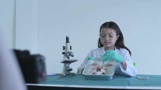 Koncepcja Edukacji Rozdzielczości Młoda Dziewczyna Wyjaśnia Eksperyment Laboratorium Badanie Narządów — Wideo stockowe