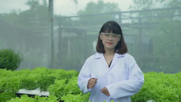 Çözünürlük Tarım Konsepti Araştırmacılar Seradaki Bitkilerin Bakımına Güvenle Gülümsüyorlar Bitki — Stok video