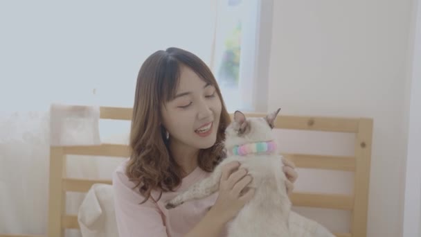 Concetto Vacanza Risoluzione Asiatico Donna Giocare Con Suo Gatto Stanza — Video Stock