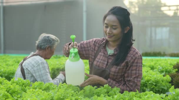 Çözünürlük Tarım Konsepti Serada Sebze Sulayan Asyalı Bir Kadın Hormon — Stok video