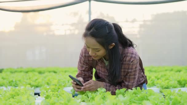 4K解析度的农业概念 一位工人正在花园里检查蔬菜的生长情况 园艺师的生产力评估 — 图库视频影像