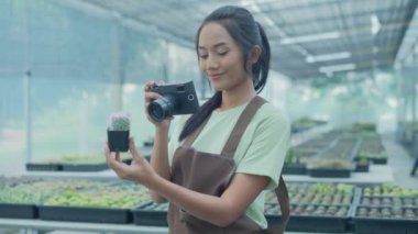4k Kararlılığın iş konsepti. Bahçede kaktüs fotoğrafı çeken Asyalı kadın. bir dijital kamera kullanarak.