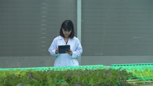 Agriculture Concept Resolution Researchers Investigating Plant Growth Greenhouses Keep Record — Stock Video