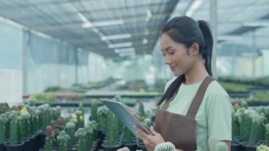 4k Kararlılığın iş konsepti. Asyalı kadın kaktüs dükkanında tabletle ürünleri kontrol ediyor. Çevrimiçi ağaç satmak.