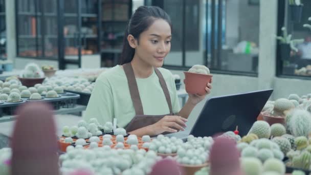 Kararlılığın Konsepti Dükkan Sahibi Bir Bilgisayar Kullanarak Kaktüs Satıyor Asyalı — Stok video