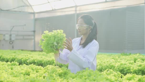 Jordbrukskonceptet Resolution Forskare Undersöker Växternas Tillväxt Växthus — Stockvideo