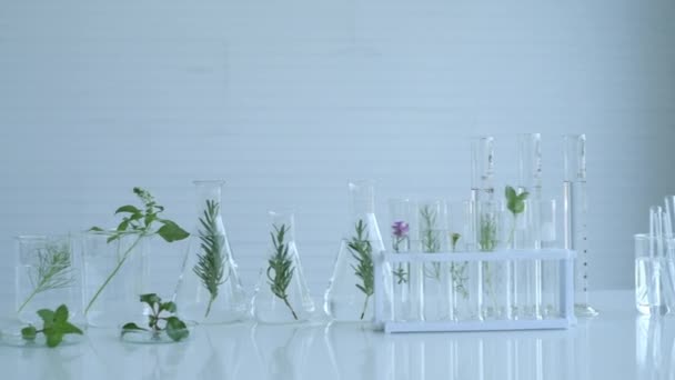 Vetenskapligt Koncept För Upplösning Utrustning För Biologi Laboratoriet Växtvetenskap Och — Stockvideo