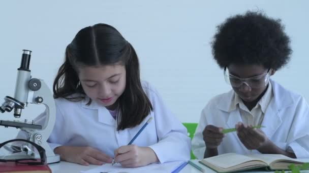 대한민국의 보물제 지정되었다 학생들은 지식으로 실험을 연구소에서 일하는 — 비디오