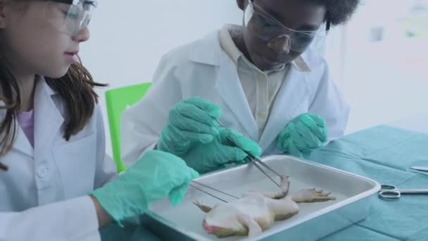 Education Concept Resolution Schoolchildren Taking Science Class Lab Biological Animal — Stock Video