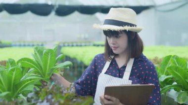 4k Çözünürlük Tarım Konsepti. İşçiler ağaçların büyümesi hakkında notlar alıyorlar. Bahçıvanın Üretim Değerlendirmesi.