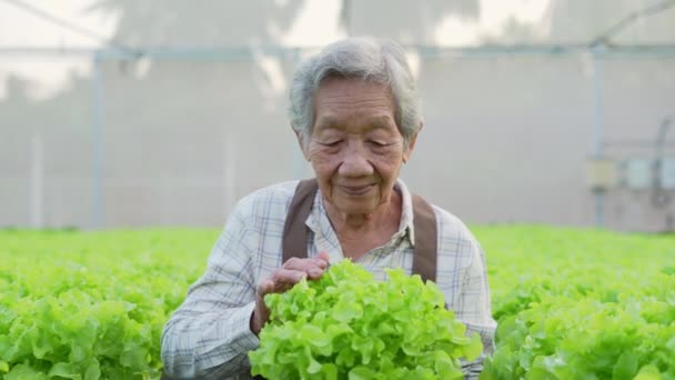 Jordbrukskonceptet Resolution Asiatisk Kvinna Som Bär Grönsaker Med Ett Leende — Stockvideo