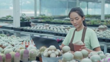 4k Kararlılığın iş konsepti. Dükkan sahibi bir bilgisayar kullanarak kaktüs satıyor. Asyalı kadın bir ağacı tanıtıyor. çevrimiçi ürün satmak.