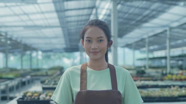 Business Concept Resolution Asian Women Confident Cactus Products Store Tree — Vídeo de stock