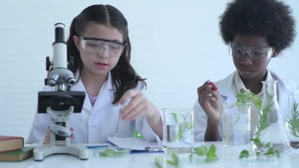 4K分辨率的教育概念 年轻的学生正在试验科学知识 在实验室里一起工作 — 图库视频影像