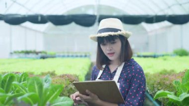 4k Çözünürlük Tarım Konsepti. İşçiler ağaçların büyümesi hakkında notlar alıyorlar. Bahçıvanın Üretim Değerlendirmesi.