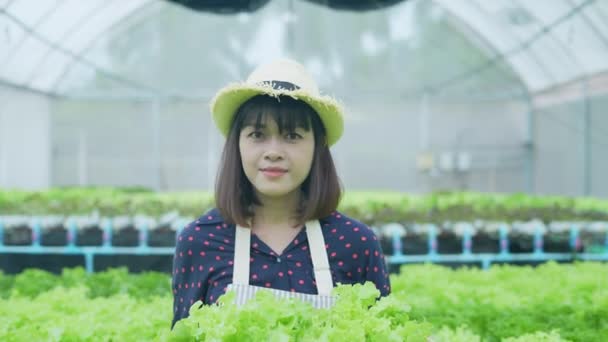 정책은 안이다 유기농 재배에 설명하는 아시아 가드너 — 비디오
