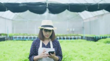 4k Çözünürlük Tarım Konsepti. Bir işçi bahçede sebzelerin yetişmesini kontrol ediyor. Bahçıvanın Üretim Değerlendirmesi.