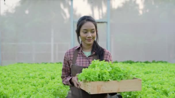 Konsep Pertanian Resolusi Wanita Asia Yang Memanen Sayur Sayuran Kebun — Stok Video
