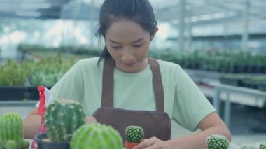 4k Kararlılığın iş konsepti. Bir dükkana kaktüs eken Asyalı kadın. çömlek taşınıyor.