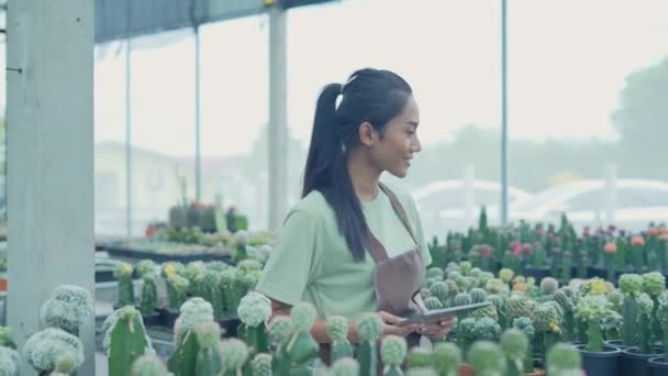 Obchodní Koncept Rozlišení Asijská Žena Kontroluje Výrobky Tabletem Kaktusovém Obchodě — Stock video