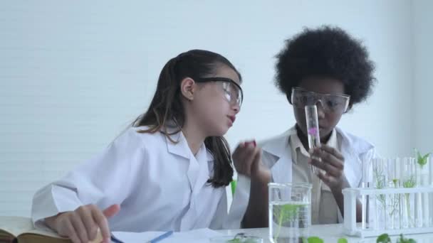 대한민국의 보물제 지정되었다 학생들은 지식으로 실험을 연구소에서 일하는 — 비디오