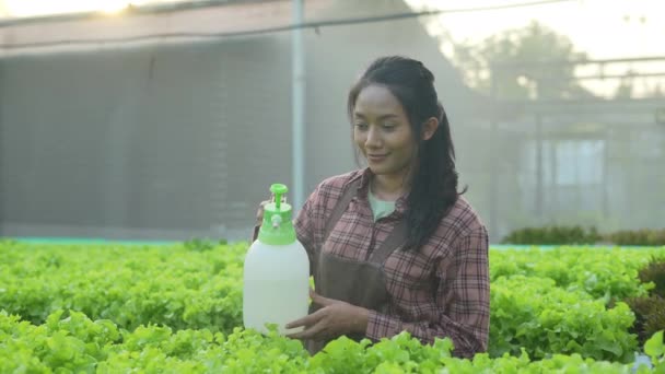 Landwirtschaftskonzept Von Resolution Asiatin Beim Gemüsegießen Einem Gewächshaus Wachstum Mit — Stockvideo