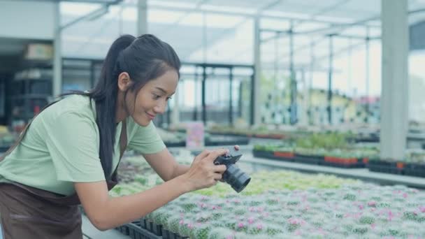 Affärsidé Resolution Asiatisk Kvinna Fotograferar Kaktusen Trädgården Med Hjälp Digitalkamera — Stockvideo