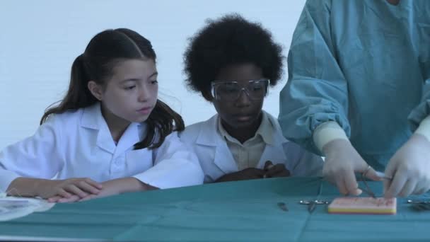 4K解像度の教育概念 教室で縫合傷を練習している医学生 インターンの先生 訓練シミュレーション — ストック動画